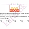 11_SINIF_MATEMATIK_CEP_TEST_KOLA5