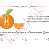 11_SINIF_MATEMATIK_CEP_TEST_ORTA5