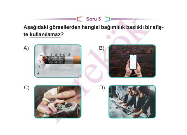 5.sinifturkceceptest3