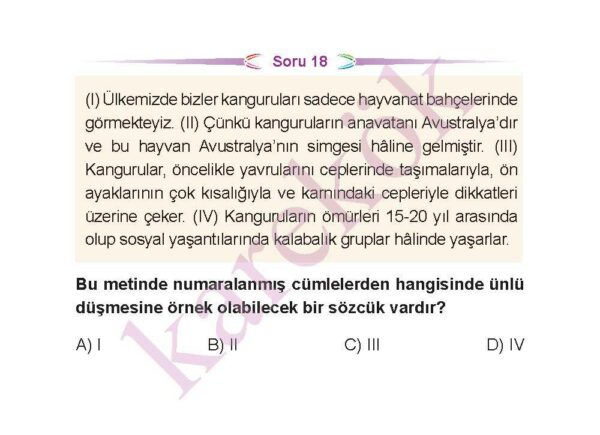 5.sinifturkceceptest6