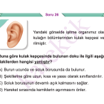 5_SINIF_FEN_BILIMLERI_CEP_TEST_Sayfa_2