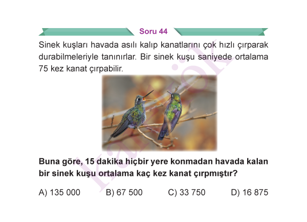 5_SINIF_MATEMATIK_CEP_TEST_Sayfa_2