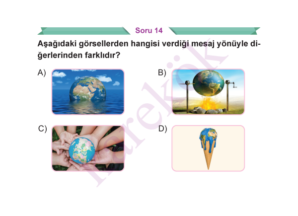 5_SINIF_TURKCE_CEP_TEST_Sayfa_2