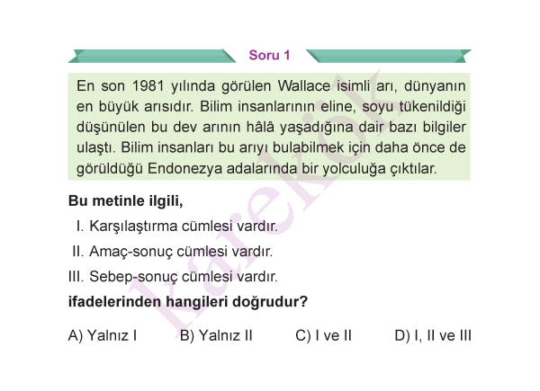 5_SINIF_TURKCE_CEP_TEST_Sayfa_5
