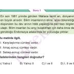 5_SINIF_TURKCE_CEP_TEST_Sayfa_5