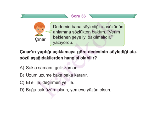 5_SINIF_TURKCE_CEP_TEST_Sayfa_6