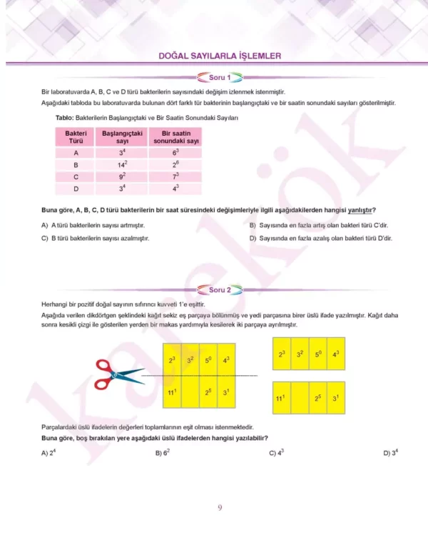 6sinifbeceritemelliyeninesilmatematiksorulari1