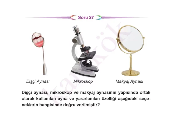 7siniffenbilimlericeptest4