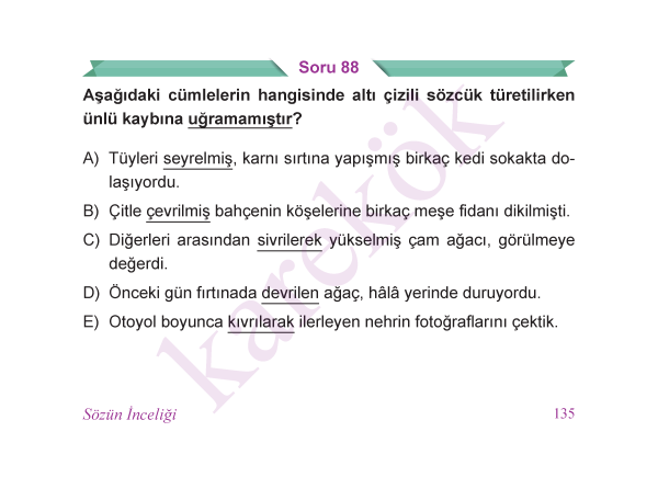 9_SINIF_EDEBIYAT_CEP_TEST_Sayfa_2