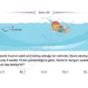 9_sinif_matematik_ceptest_kolay4