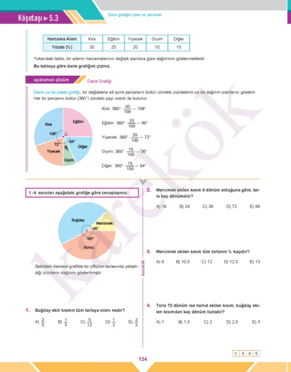 VERI_SAYMA_OLASILIK_SIFIR_MPS_5