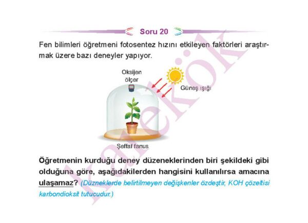 lgsfenbilimlericeptestzor7