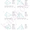 10matematikingilizce3