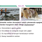 5_SINIF_SOSYAL_BILGILER_CEP_TEST_Sayfa_2