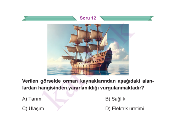 5_SINIF_SOSYAL_BILGILER_CEP_TEST_Sayfa_5