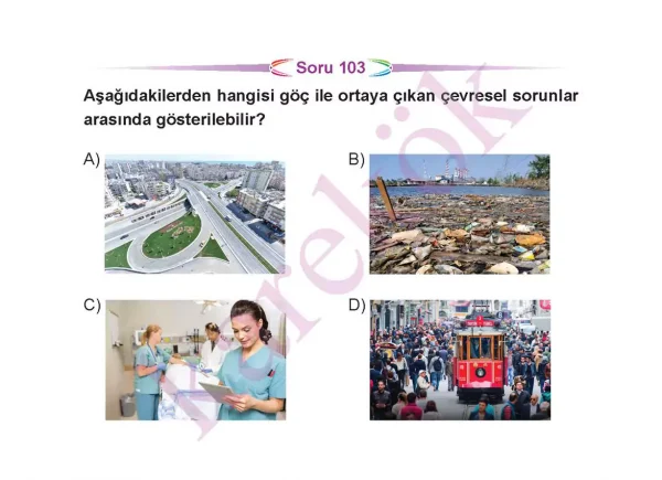 7sinifsosyalbilgilerceptest3