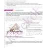 9_SINIF_COGRAFYA_MPS_Sayfa_1