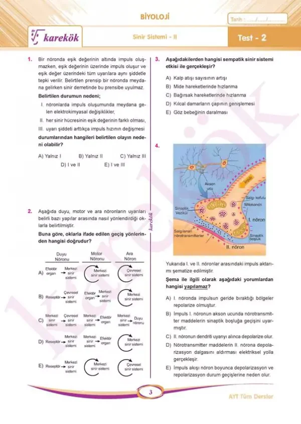 ayt-tum-dersler-sb-sayisal5-676413d912e51