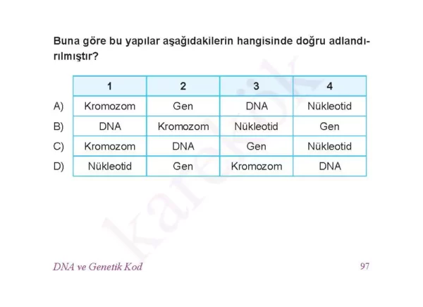 lgsfenbilimlericeptestkolay4