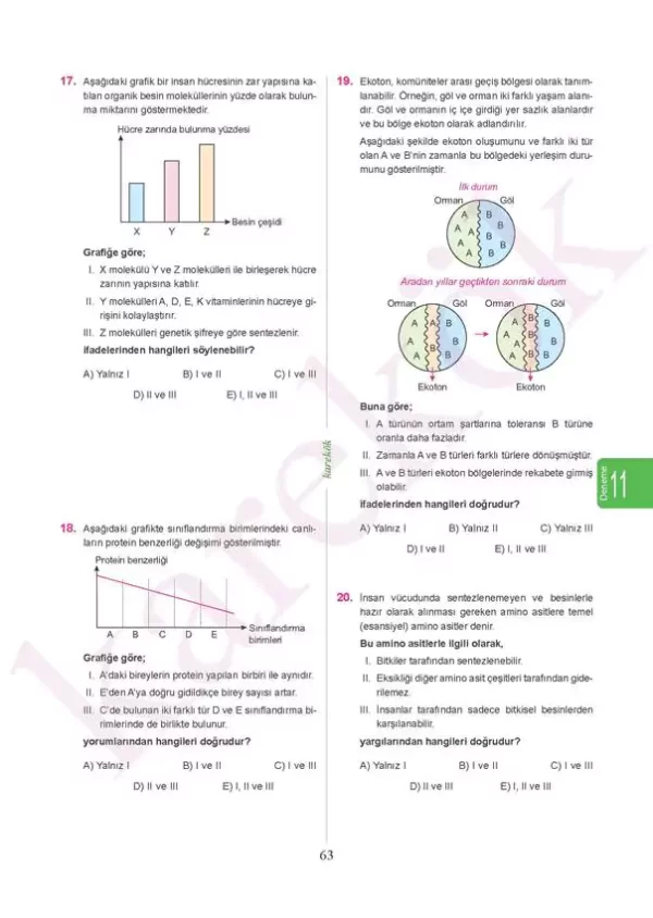 tytfenbilimleridenemeleri3