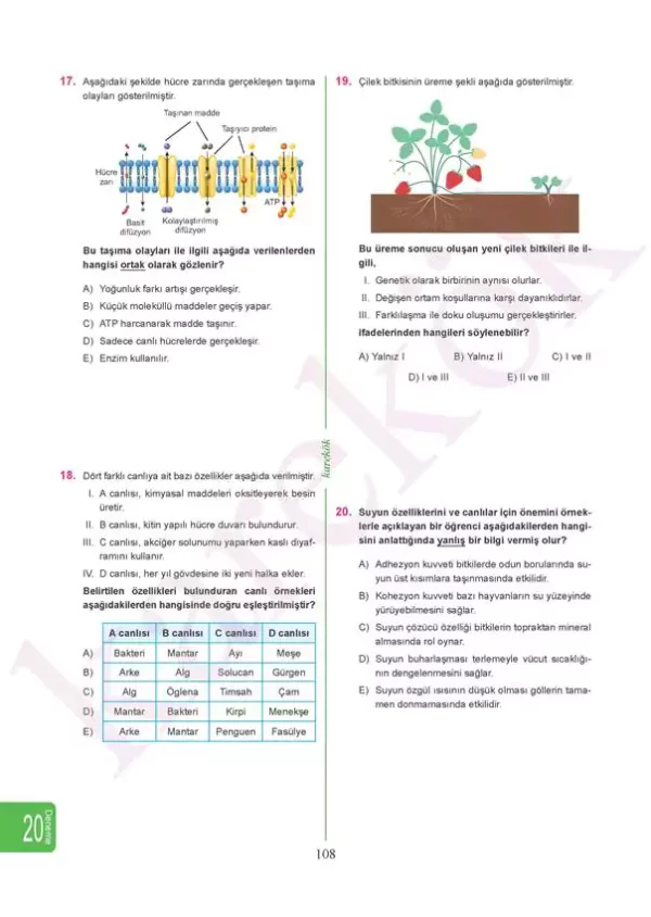 tytfenbilimleridenemeleri6