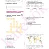 10_COGRAFYA_MPS_Sayfa_4
