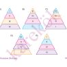 10_SINIF_BIYOLOJI_CEP_TEST_Sayfa_6
