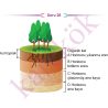 10_SINIF_COGRAFYA_CEP_TEST_Sayfa_3