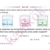 11_SINIF_BIYOLOJI_CEP_TEST_Sayfa_5