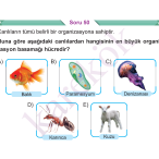 9_SINIF_BIYOLOJI_CEP_TEST_Sayfa_1
