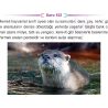 9_SINIF_BIYOLOJI_CEP_TEST_Sayfa_2
