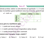9_SINIF_BIYOLOJI_CEP_TEST_Sayfa_2