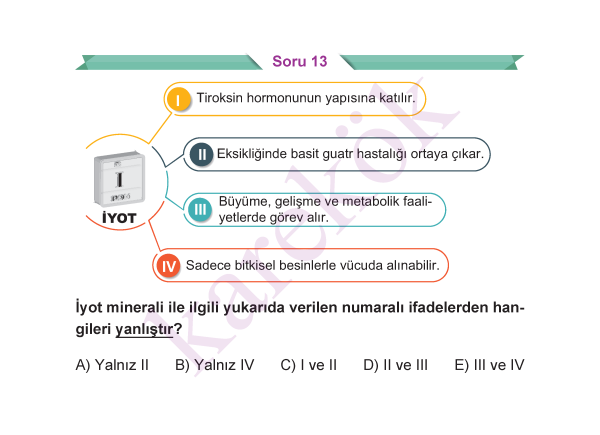 9_SINIF_BIYOLOJI_CEP_TEST_Sayfa_3