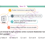 9_SINIF_BIYOLOJI_CEP_TEST_Sayfa_3