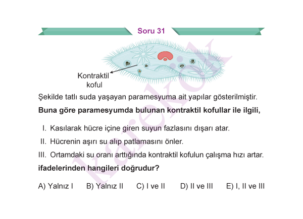 9_SINIF_BIYOLOJI_CEP_TEST_Sayfa_4