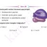 9_SINIF_BIYOLOJI_CEP_TEST_Sayfa_4