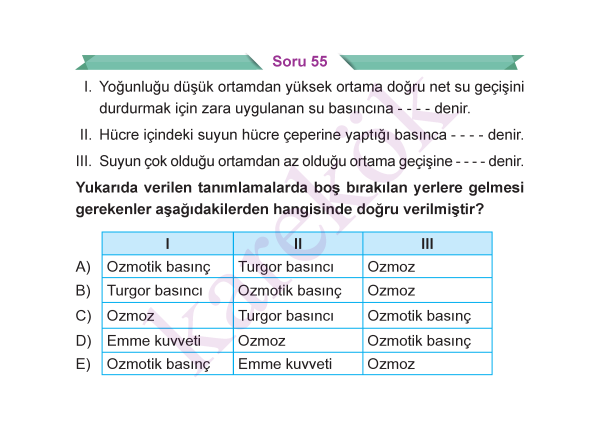 9_SINIF_BIYOLOJI_CEP_TEST_Sayfa_5