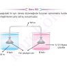9_SINIF_BIYOLOJI_CEP_TEST_Sayfa_5