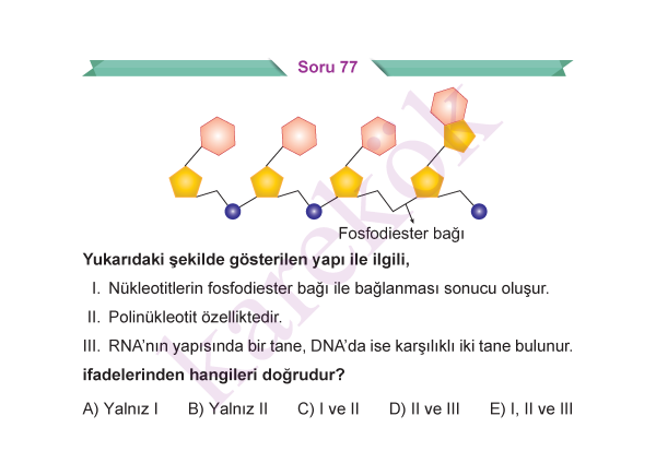 9_SINIF_BIYOLOJI_CEP_TEST_Sayfa_6
