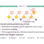 9_SINIF_BIYOLOJI_CEP_TEST_Sayfa_6