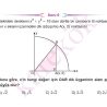 AYT_TUREV_CEP_TEST_Sayfa_4