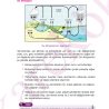 DIZINLI_TEMEL_COGRAFYA - 2_Sayfa_3