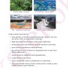 DIZINLI_TEMEL_COGRAFYA - 2_Sayfa_6